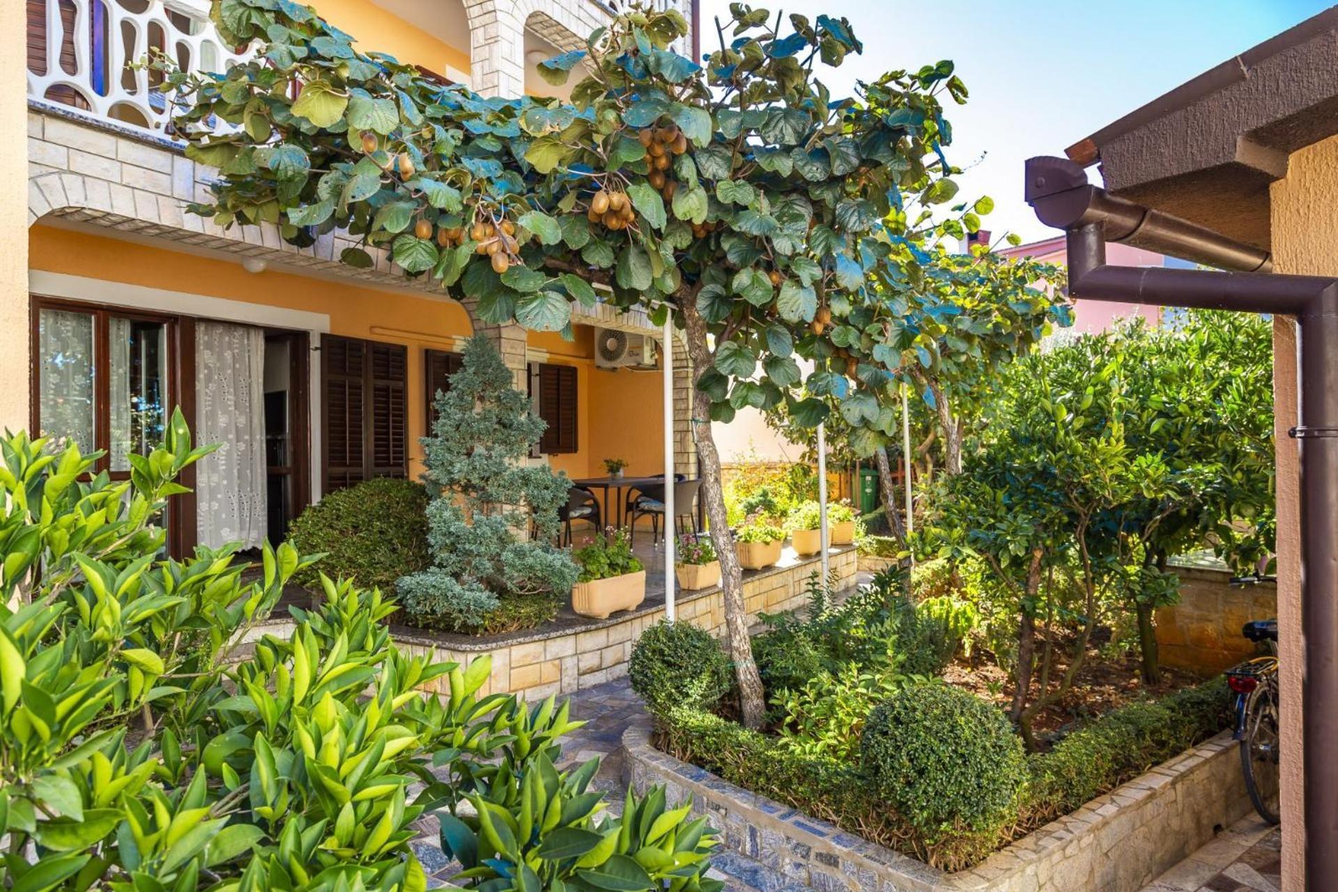 Apartments Mir Fažana Εξωτερικό φωτογραφία